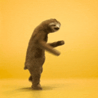 Funny-sloths GIFs - Get the best GIF on GIPHY
