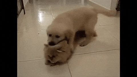 abuse