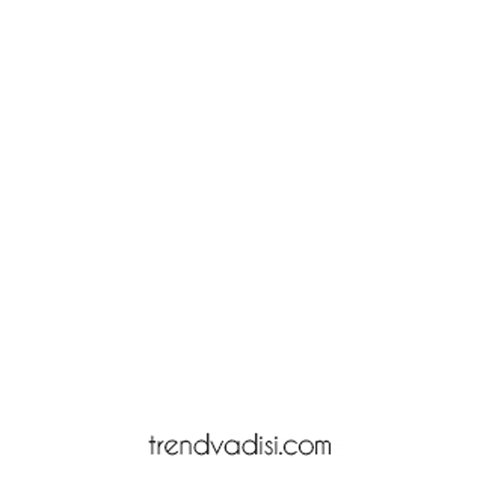 GIF by TrendVadisi
