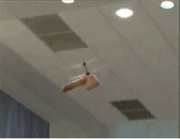 helicockter GIF