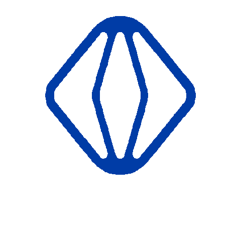 vsight Sticker