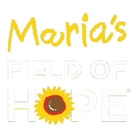 Hope Sunflower Sticker by Prayers From Maria Foundation