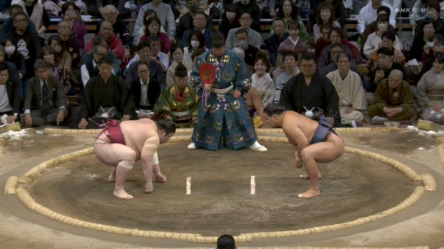 Sumo GIF - Find & Share on GIPHY