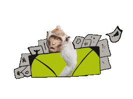 Monkey Mono Sticker by two mokey company
