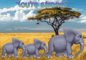 Expressions Elephants GIF