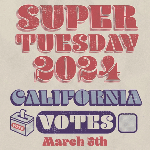 Super Tuesday Vote GIF