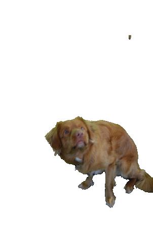 marioncremers Sticker