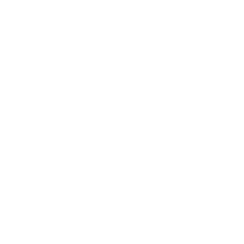 Carbone Boutique Sticker