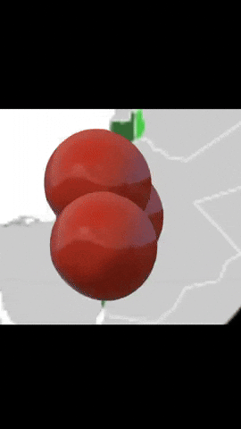 Israel Palestine GIF