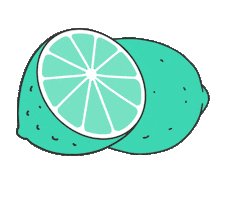 Gin Lime Sticker by romeosgin