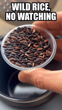 Wild Rice, No Watching | Rice Robot