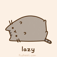 lazy pusheen and sloth