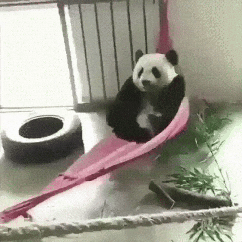 giphy.gif?cid=4d1e4f29ohrtf1zwslun03aa37f3ozn1wt3quisq0z3rjdvr&rid=giphy.gif