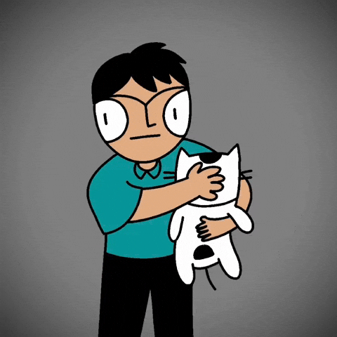 Cat Terrifying GIF