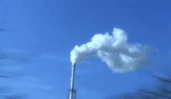 Sort GIF