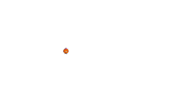 Protecao Veicular Sticker