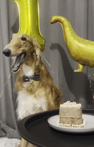 Dogmeme Borzoi GIF
