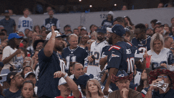 Nfl Fans GIF by New England Patriots