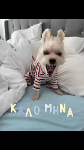 Kalo Mina GIF