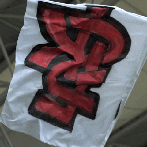 Flag Support GIF by LKS Lodz