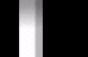 Tmz GIF by The Undroppables