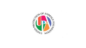 Upa Sticker by upafoundation