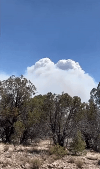 Smoke and Flames Seen in Southwestern New Mexico