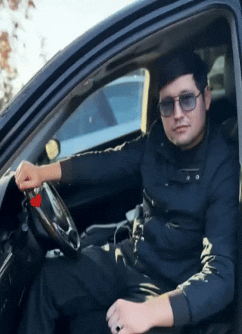 Aliyeva571 GIF