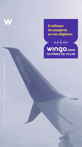 GIF by Wingo