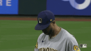 Sport Cant See Me GIF by Milwaukee Brewers