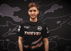 Video Games Thumbs Up GIF by 100 Thieves