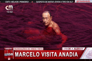 Portugal Marcelo GIF