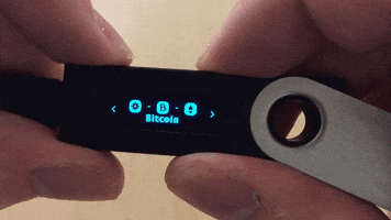 ledger  GIF