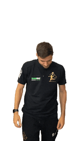 Bundesliga Handball Sticker by hcelbflorenz