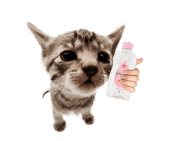 Baby Oil Cat Sticker