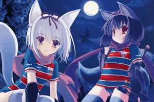 Fortaleza Esporte Clube Fortalezaec GIF