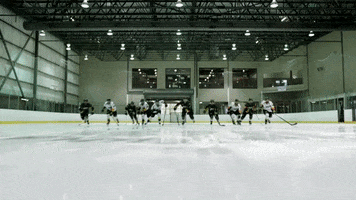 Skating Hockey Team GIF by University of Regina