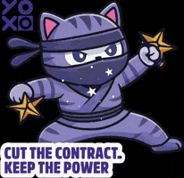 Yoxomood GIF by YOXO