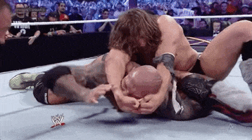 daniel bryan wrestling GIF by WWE