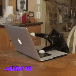 Animated GIF