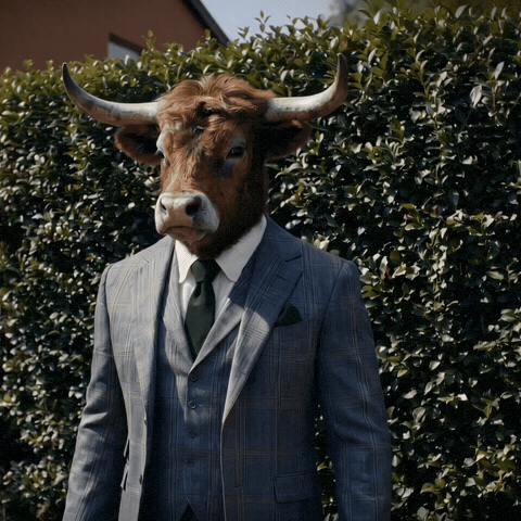 Cowley GIF by Levels Protein