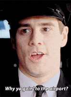 dumb and dumber harry GIF