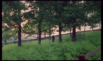 walk in the woods walking GIF by Partizan