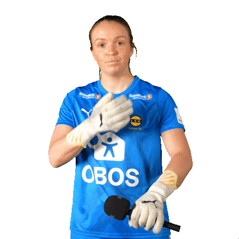 Toppserien Forza Birdsa Sticker by LSK Kvinner FK