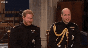 Prince Harry GIF by BBC