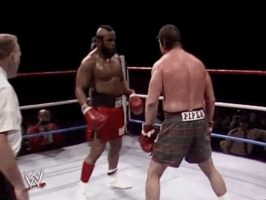 masters of the wwe mr t