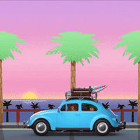 Car Driving GIF by PLAYMOBIL