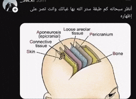شيعة GIF