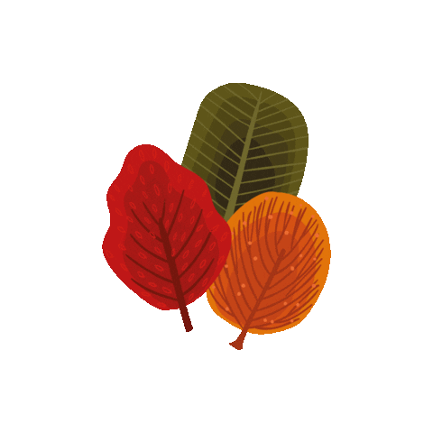 Fall Leaf Sticker by Muno Puzzle