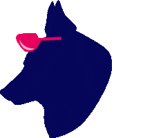 FoxEducation Sticker